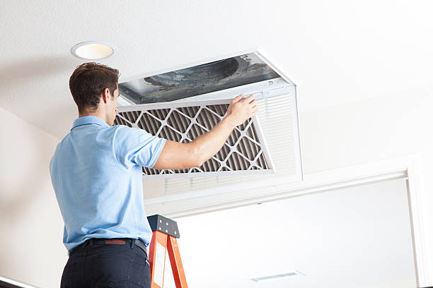 Best Ductless HVAC Repair  in Almont, MI